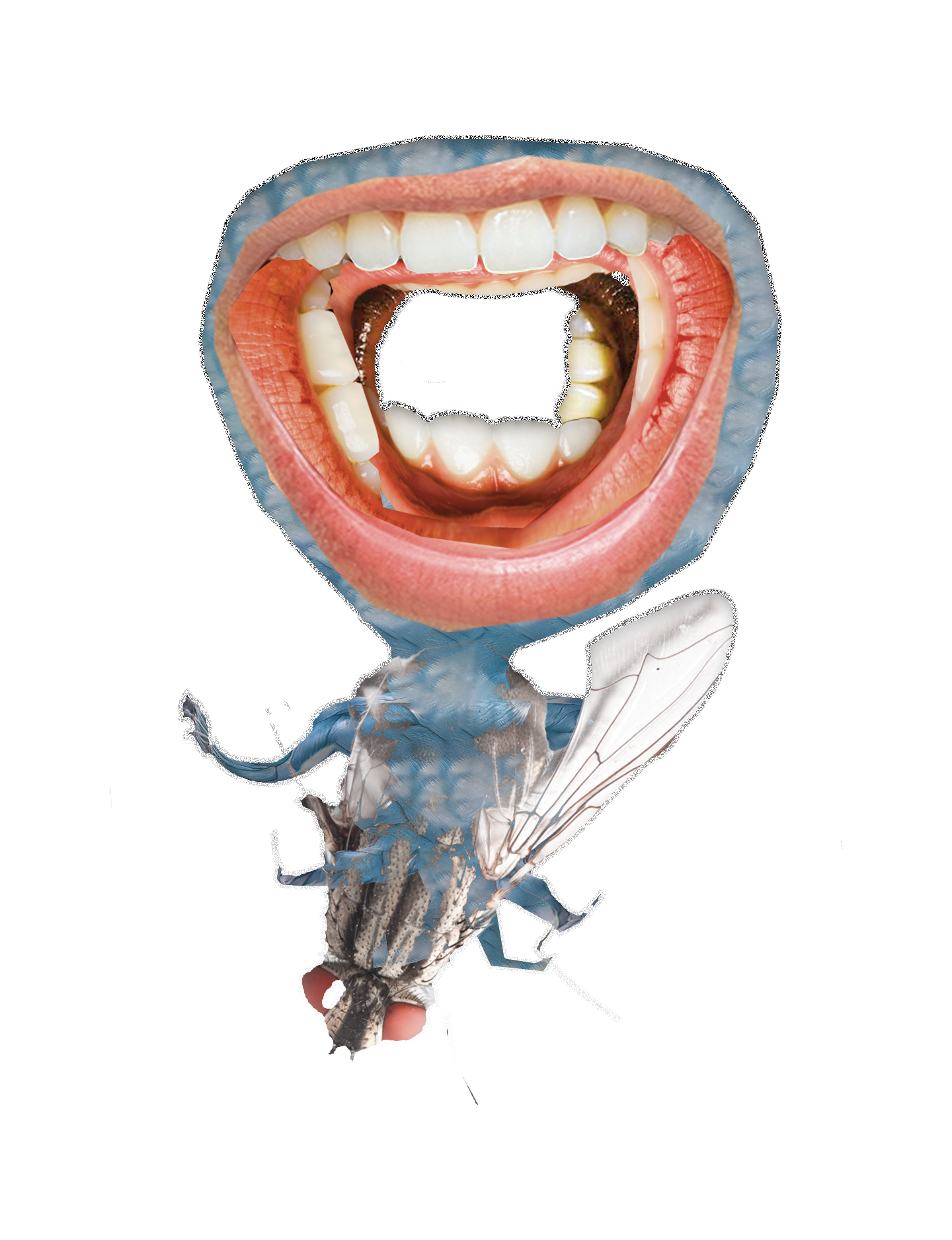 Floating Image 2